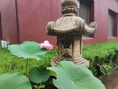 -开福禅寺
