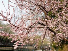 -安定门(地铁站)