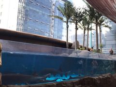 -成都浩海立方海洋公园