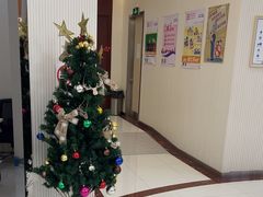 -泰康拜博口腔(凯迪大厦店)