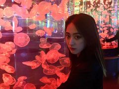 -石家庄海洋公园