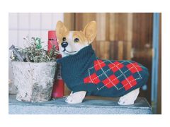 -ZooYoo佐佑咖啡(鼓楼店)