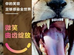 -柏乐口腔医院·舒适化无痛种植牙中心(东盟商务区院)