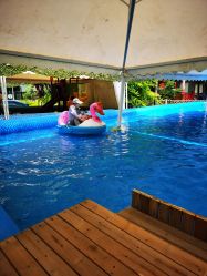 -萌宠亲子动物乐园(槐房万达店)