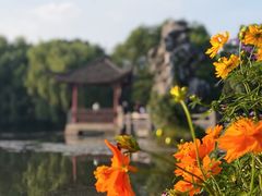 -西湖游船