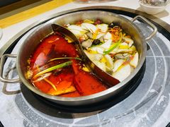 菌汤红汤鸳鸯锅-执牛耳涮烤牛排火锅(伊河路店)