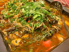 仔姜三角锋-院8里·少城记忆老川菜(宽窄巷子店)