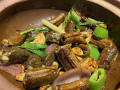 生啫爽脆黄鳝-啫神·广州地标美食(北京路店)