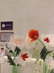 -轻辰医美
