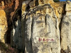 -彩色沙林风景区