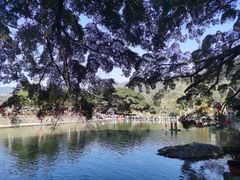 -云水谣景区