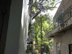 -宁曼路