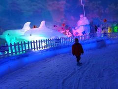 -世界之窗阿尔卑斯冰雪世界