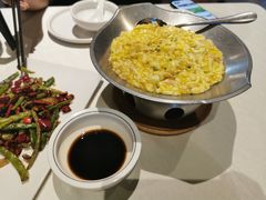 -丁老爷子苏香圆