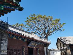 -蓬莱阁景区