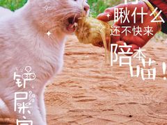 -波浪谷