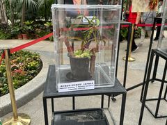 -北京植物园-展览温室