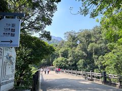 -鼎湖山风景区