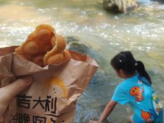 -广州白江湖森林公园