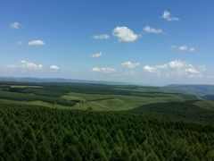 -塞罕坝国家级自然保护区