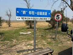-盐城丹顶鹤湿地生态旅游区