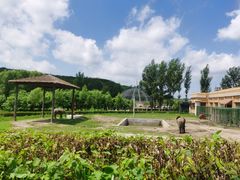 -哈尔滨北方森林动物园