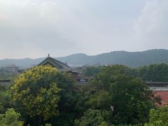 -浙江大学(玉泉校区)