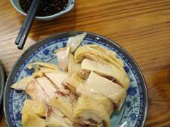 -九斤黄三黄鸡专卖店