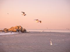 -老虎石海上公园