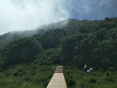 -白草畔自然风景区