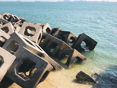 -东疆建设开发纪念公园
