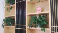 -WENDY·温迪皮肤管理