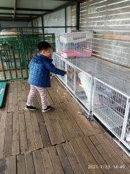 -小蜜蜂农场(凯德七宝购物广场店)