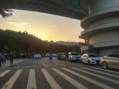 -重庆市奥林匹克体育中心-游泳跳水馆