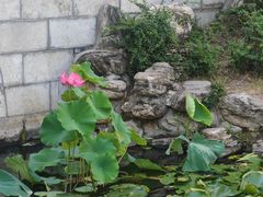 -莲湖公园