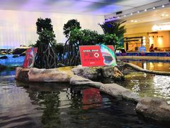 -鸿通城购物中心