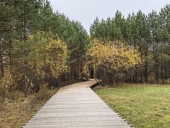 -北极村旅游风景区