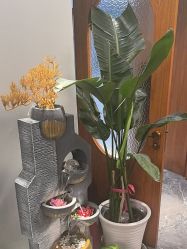 -卡尔诗·科技美肤连锁