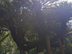 -重庆抗战遗址博物馆
