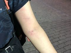 -道顺射箭·团建·骑射(张杨路店)