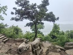 -虞山风景区