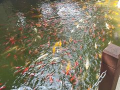 -天河潭旅游度假区