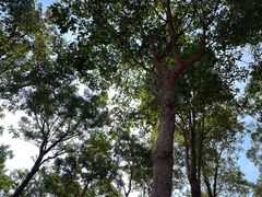 -白石龙音乐公园