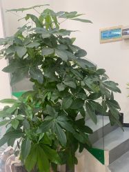 -冰芙洁问题性皮肤美甲美睫