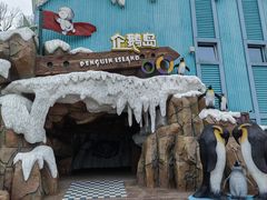-杭州长乔极地海洋公园
