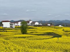 -张明富面皮店(东大街店)