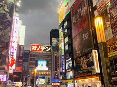 -秋叶原电器街