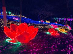 -青龙湖公园