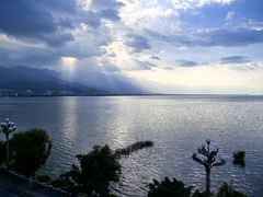 -野菌皇海景野生菌火锅(滨海大道店)