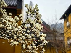 -杭州上天竺法喜讲寺